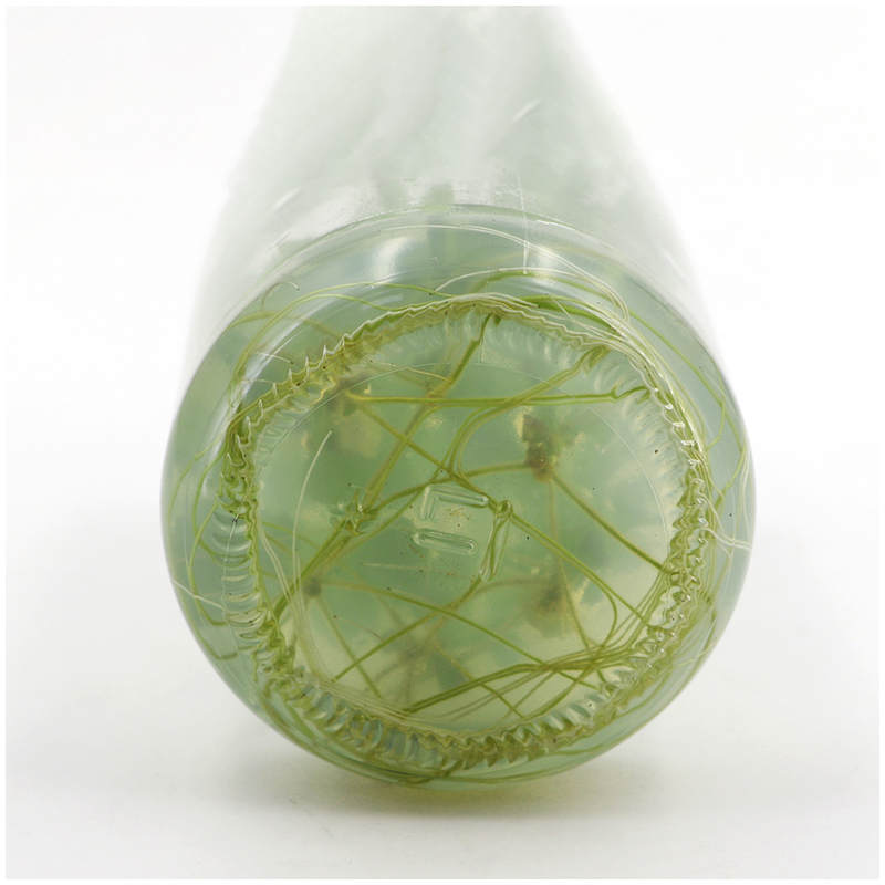 MS medium Without Agar Or Sucr - Agar Tissue Culture incelemesi ve fiyatı