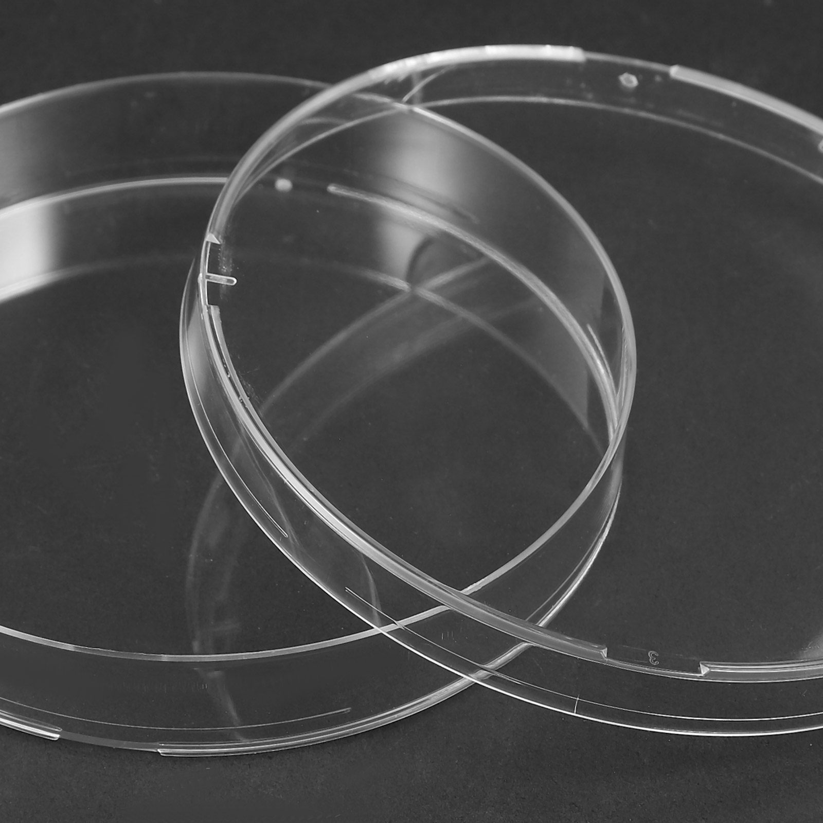20Pcs Clear Sterile Petri Dish - Agar Tissue Culture incelemesi ve fiyatı