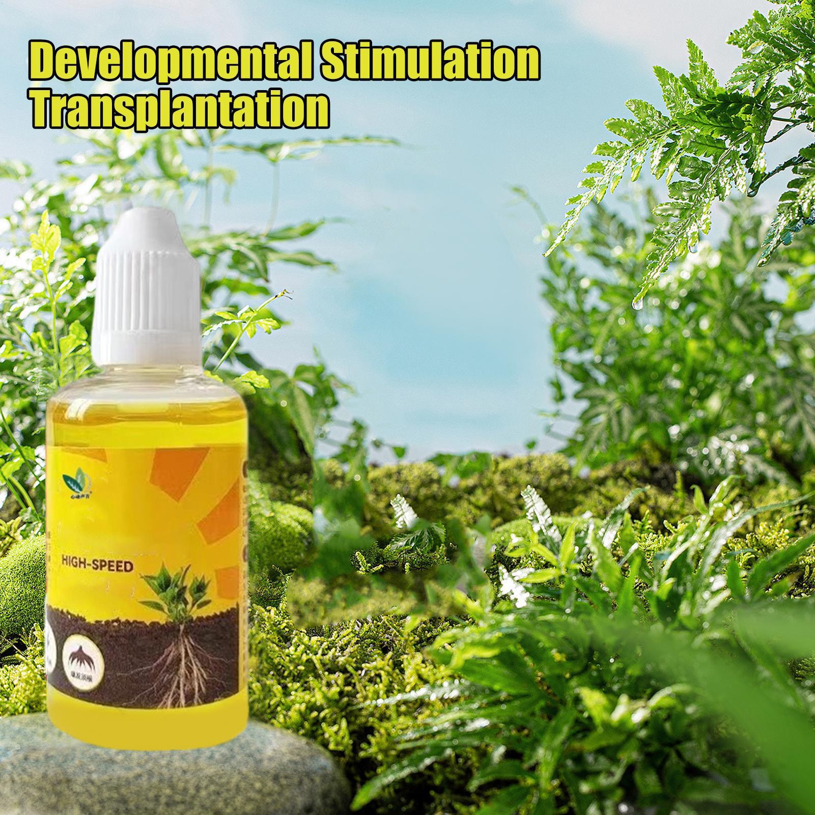 50ml Plant Rooting Stimulator  - Root Stimulator Liquid incelemesi ve fiyatı
