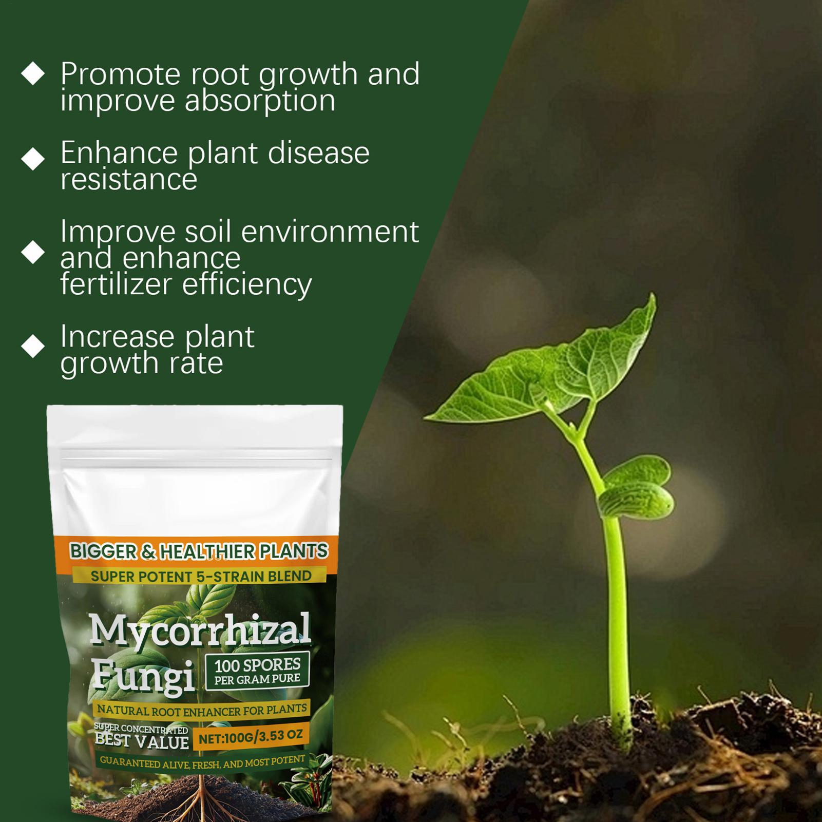 Plant Growth Enhancer Powder 1 - Rooting Hormone Powder incelemesi ve fiyatı