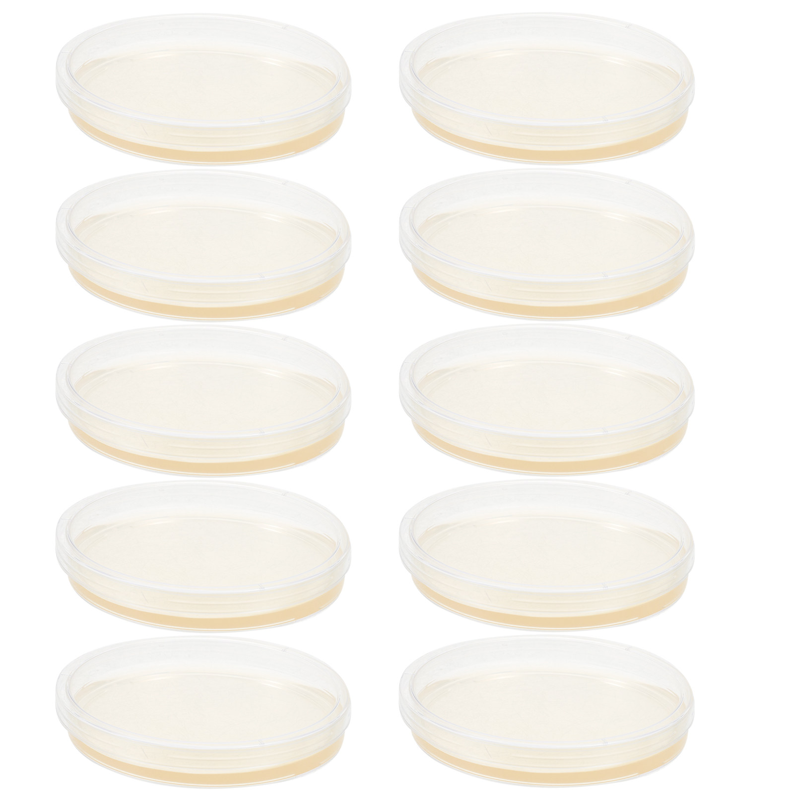 10Pcs Lb Agar Plates Portable  - Agar Tissue Culture incelemesi ve fiyatı