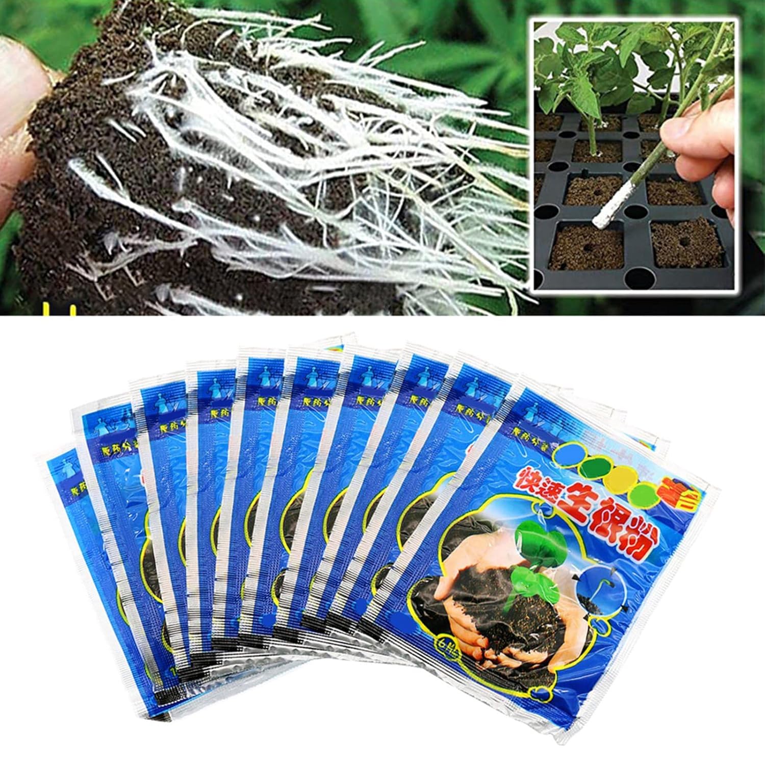 10 Bag 10g Rooting Powder for  - Rooting Hormone Powder incelemesi ve fiyatı